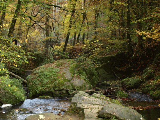 Müllertal